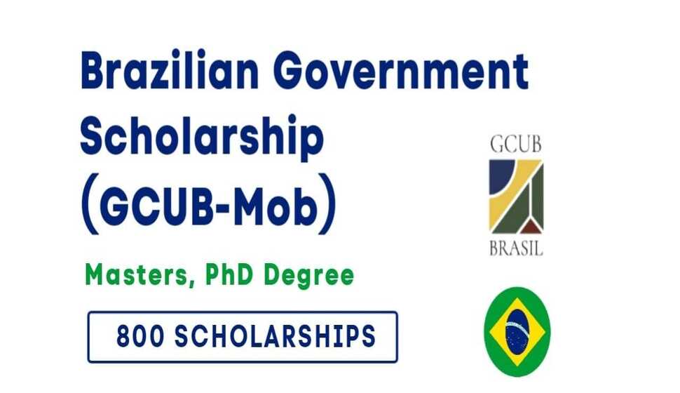 Brazilian scholarship offer
