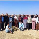 قسم علوم الطبيعة والحياة بكلية العلوم – جامعة المسيلة